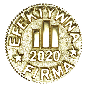 2020 Efektywna Firma